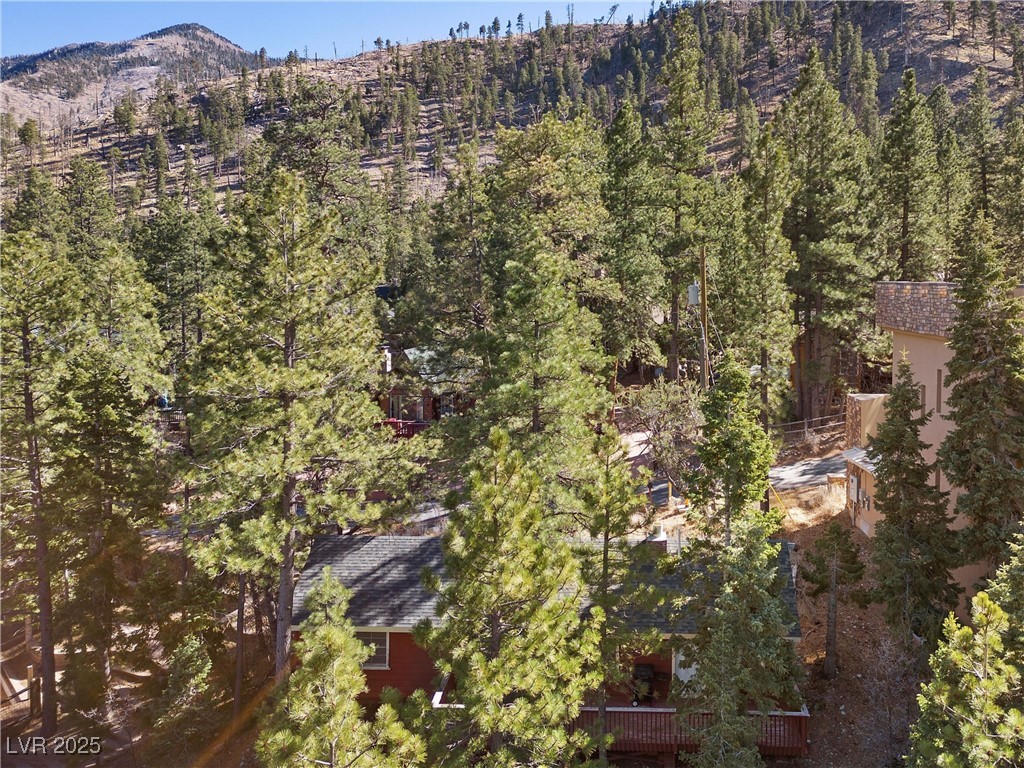 4154 Matterhorn Way Property Photo 52