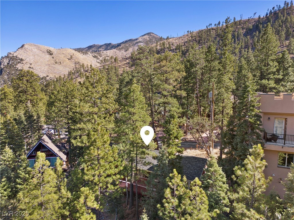 4154 Matterhorn Way Property Photo 53