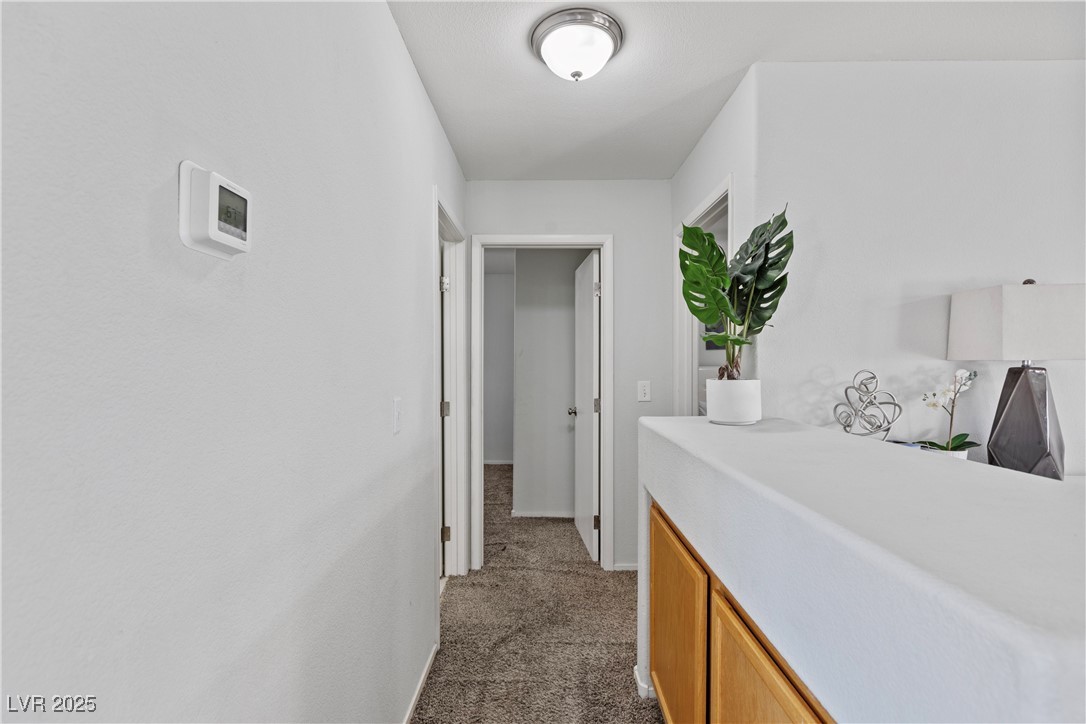 10273 Grecian Laurel Court Property Photo 25