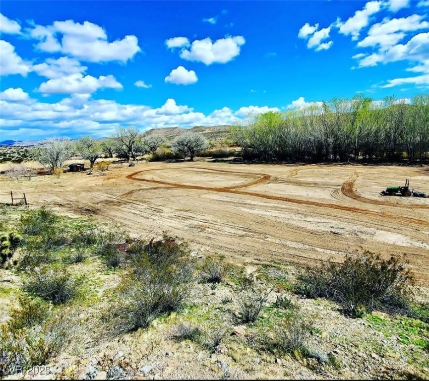 46955 Moapa Road Property Photo 2