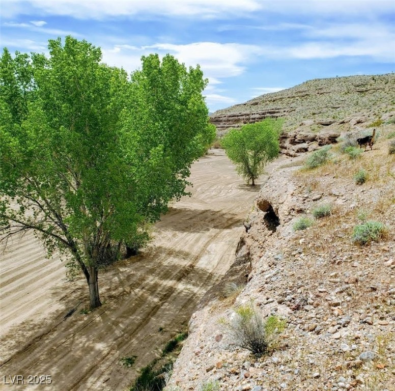 46955 Moapa Road Property Photo 5