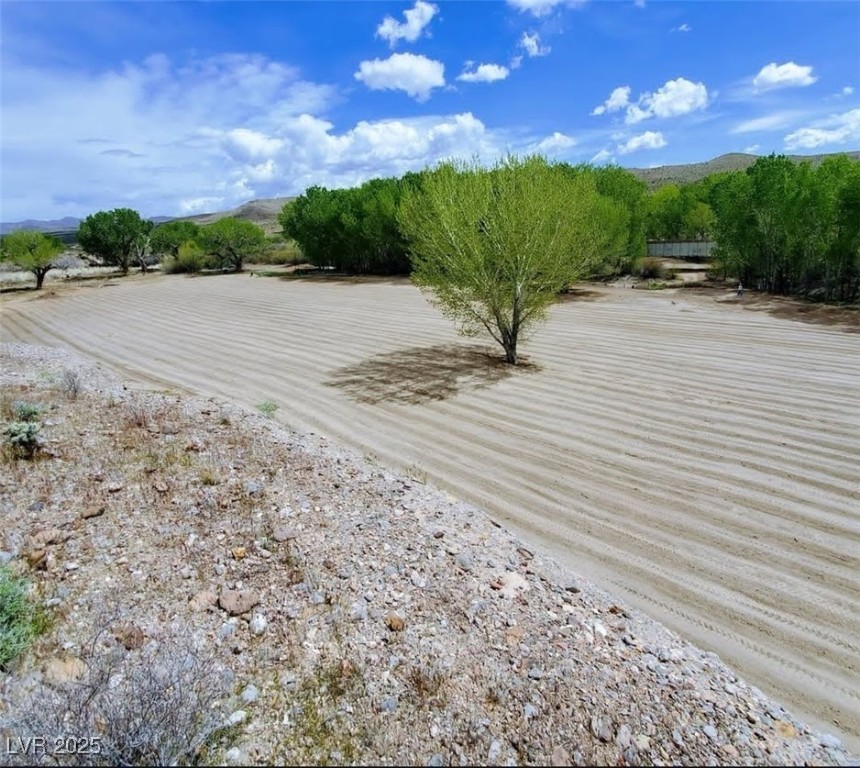 46955 Moapa Road Property Photo 9