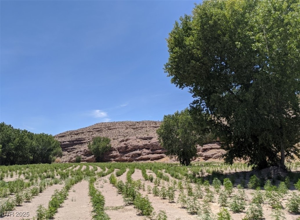 46955 Moapa Road Property Photo 13