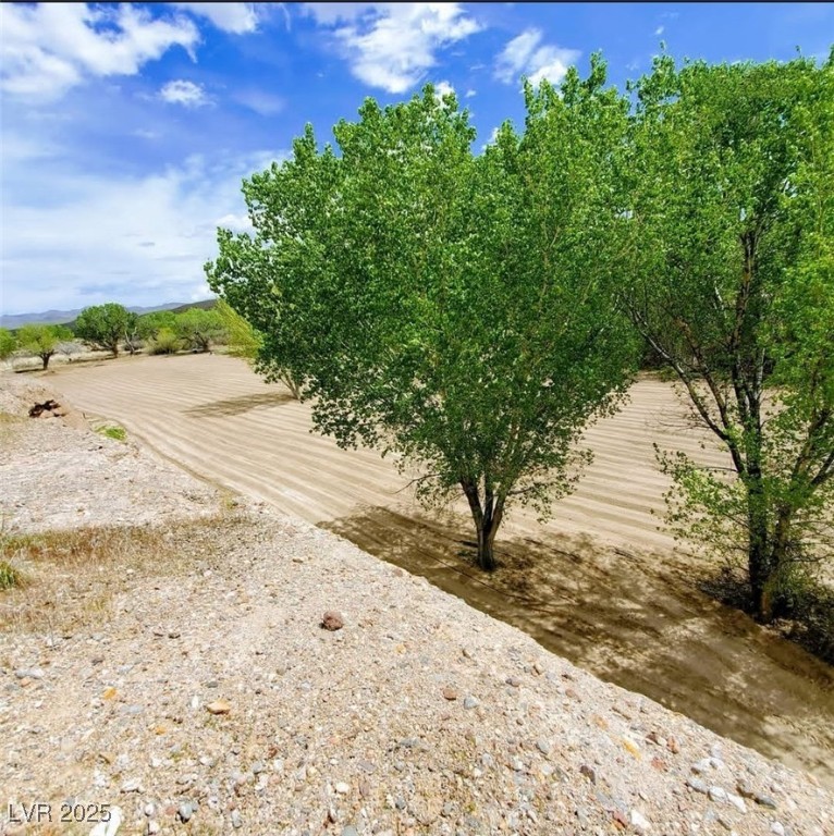 46955 Moapa Road Property Photo 14