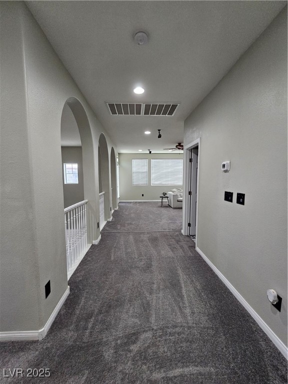 10215 Radcliffe Peak Avenue Property Photo 22