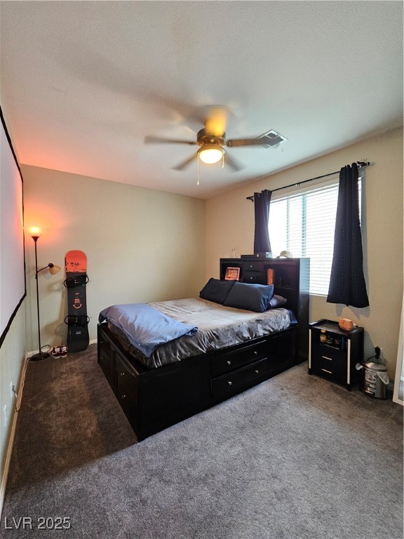 10215 Radcliffe Peak Avenue Property Photo 26