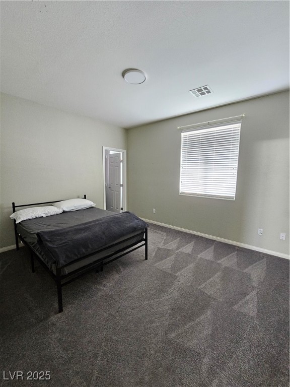 10215 Radcliffe Peak Avenue Property Photo 27