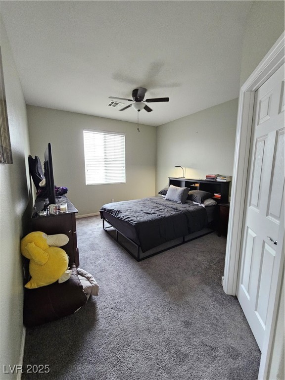 10215 Radcliffe Peak Avenue Property Photo 29