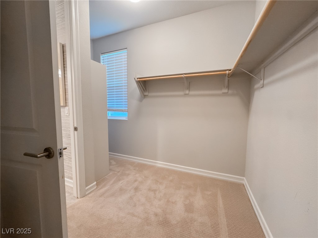 343 Cadence Vista Drive Property Photo 41