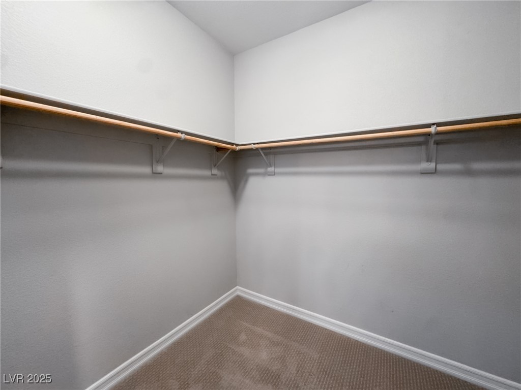 343 Cadence Vista Drive Property Photo 42