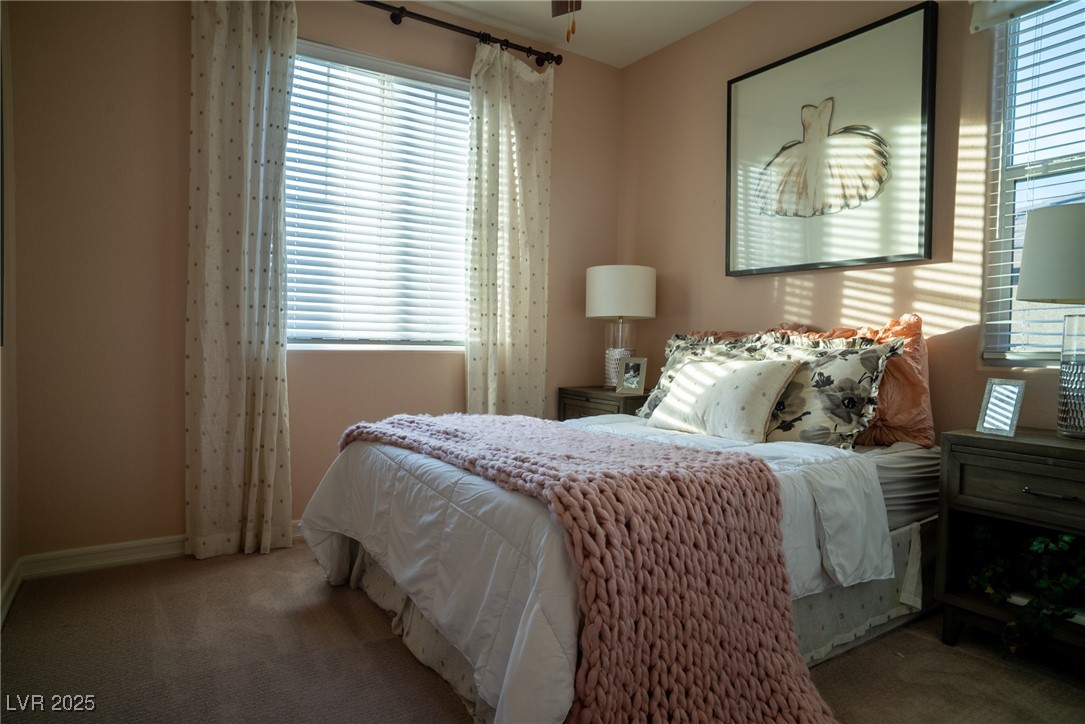 343 Cadence Vista Drive Property Photo 47