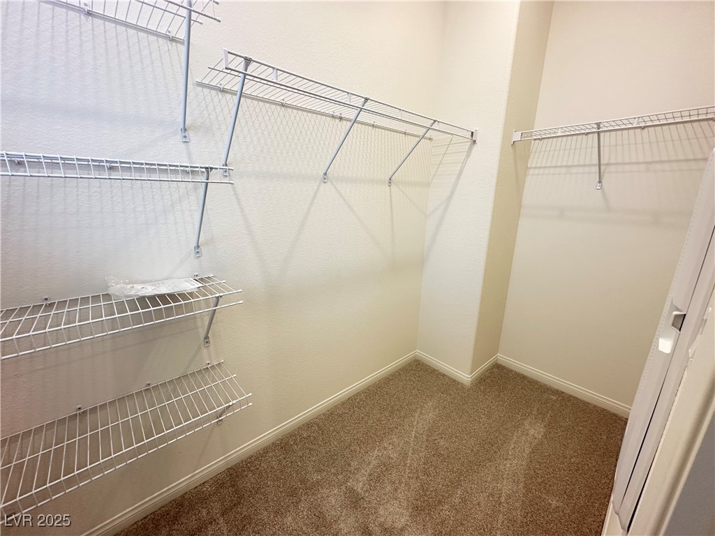 1432 Nocturnal Flight Street Property Photo 21