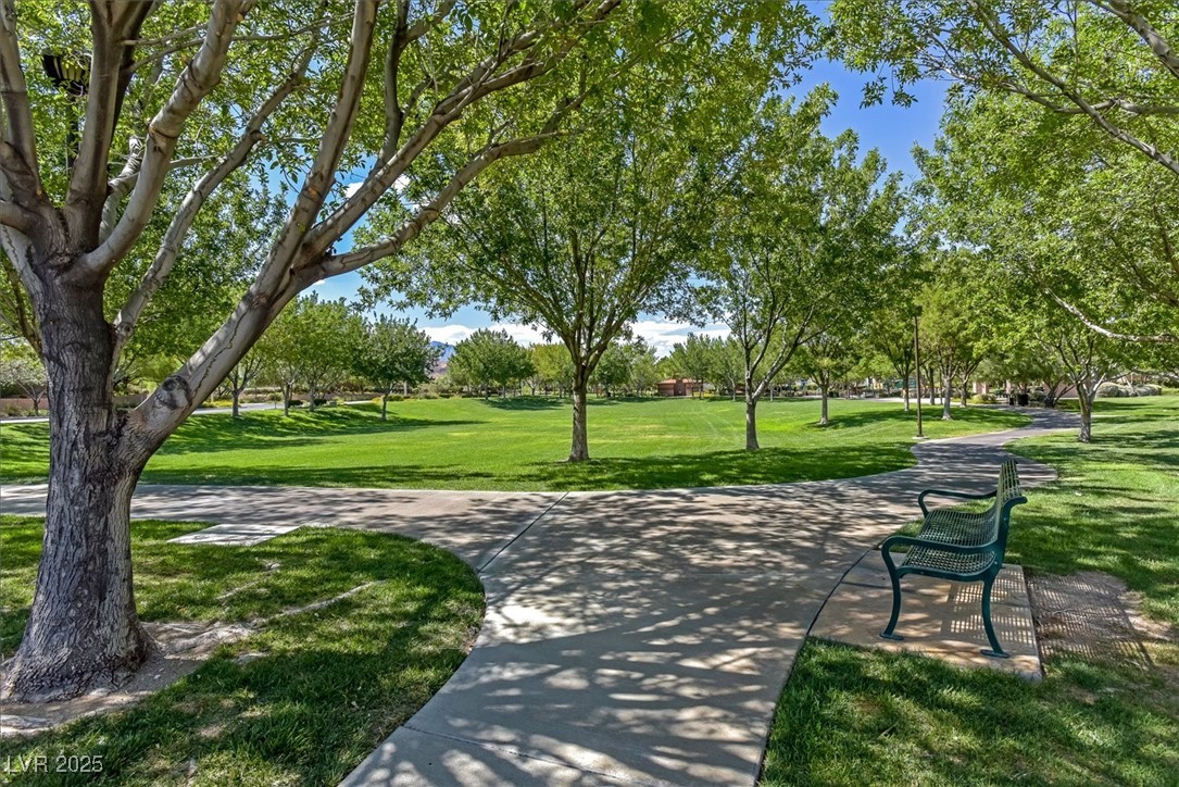 11099 Moonlight Fire Court Property Photo 68