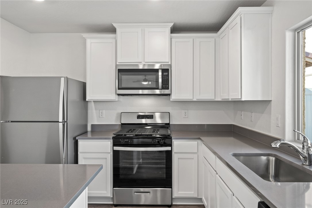 1705 Desert Path Avenue Property Photo 3