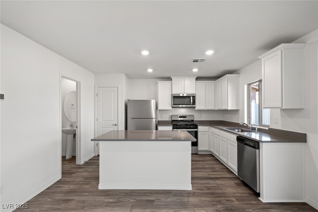 1705 Desert Path Avenue Property Photo 4