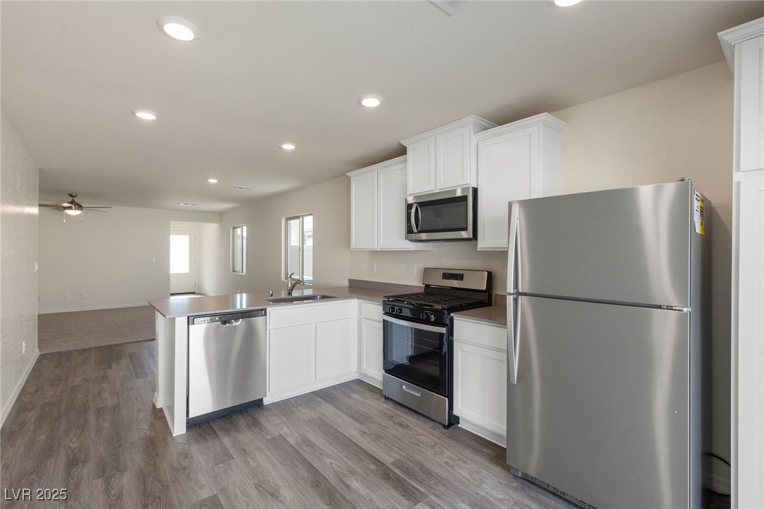 4241 Gold Desert Street Property Photo 2