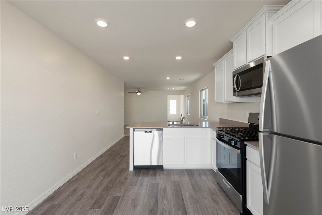 1716 Desert Path Avenue Property Photo 2