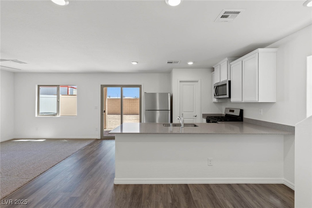 6252 Blood Lily Avenue Property Photo 3