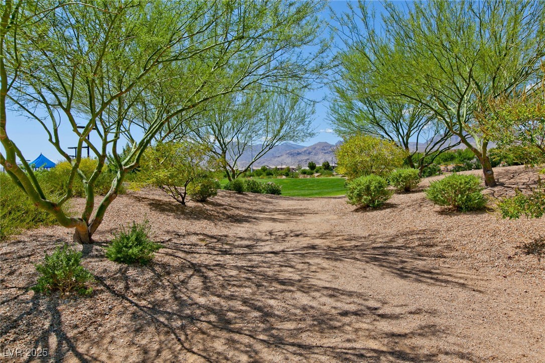 10417 Artful Stone Avenue Property Photo 49