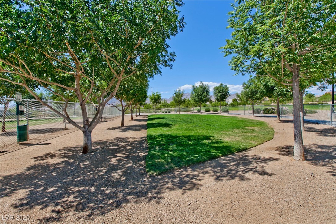 10417 Artful Stone Avenue Property Photo 52