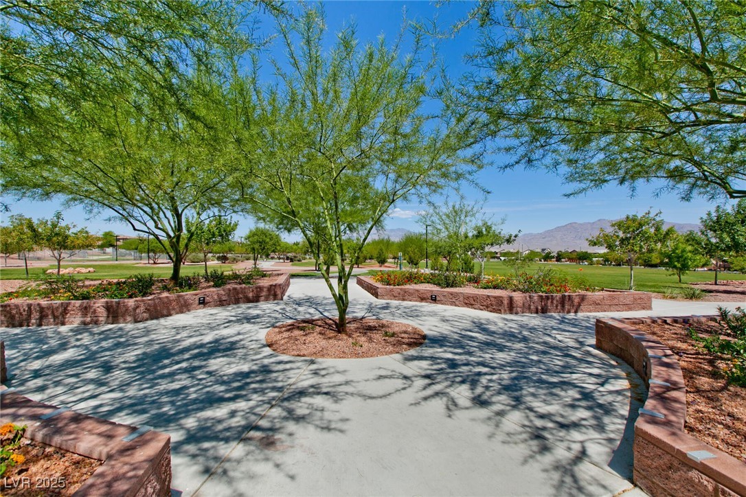 10417 Artful Stone Avenue Property Photo 55