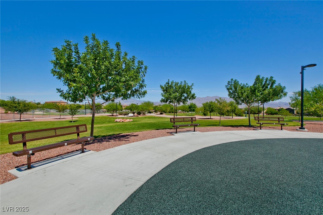 10417 Artful Stone Avenue Property Photo 57