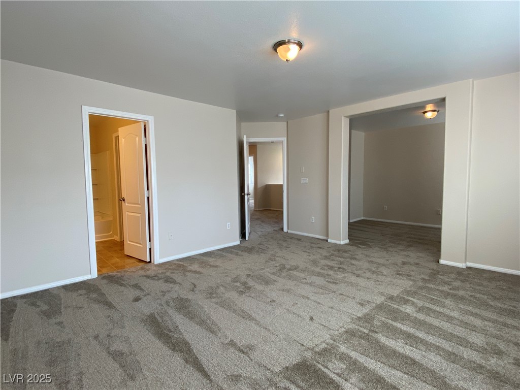 5125 Teal Petals Street Property Photo 15