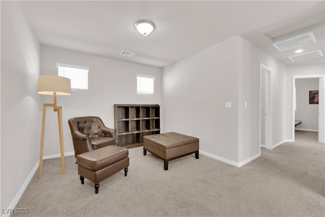 5252 Sunstone Mesa Drive Property Photo 29