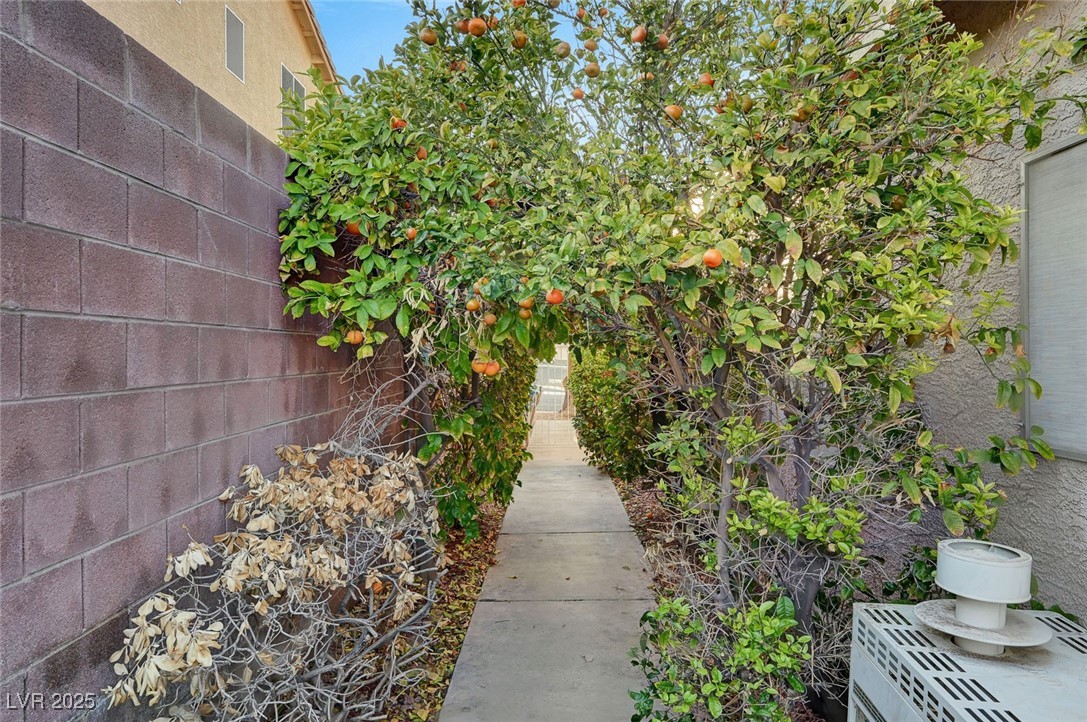 60 Mesa Rivera Street Property Photo 47