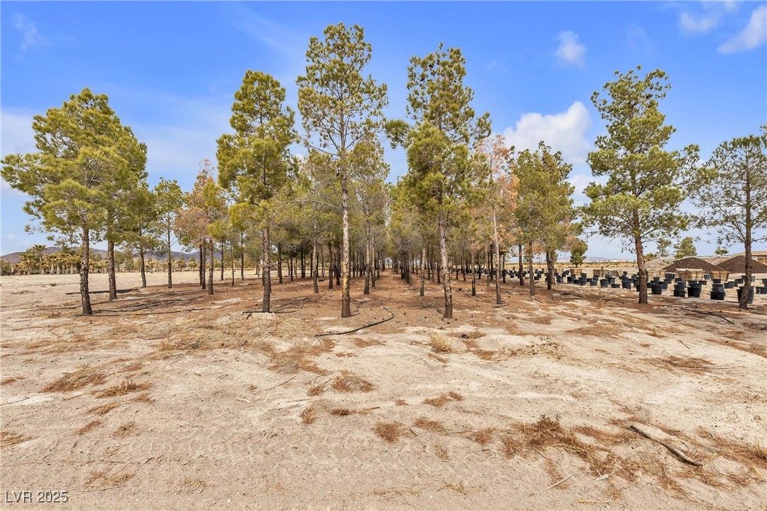 2253 North Saddleback Drive Property Photo 76