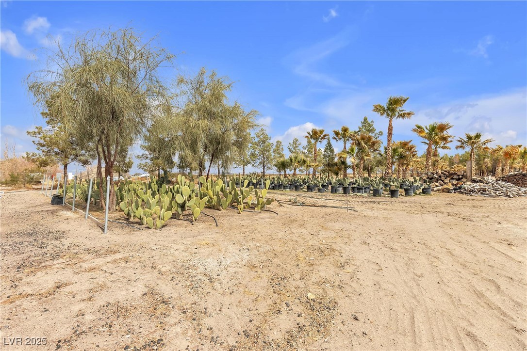2253 North Saddleback Drive Property Photo 82