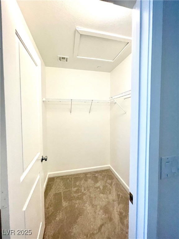 3149 Umbria Hills Walk Property Photo 21