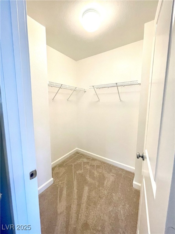 3149 Umbria Hills Walk Property Photo 22