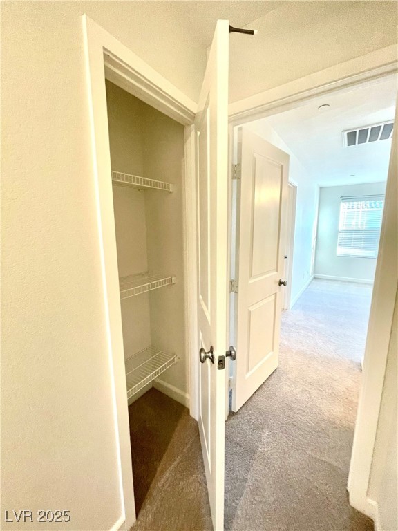 3149 Umbria Hills Walk Property Photo 32