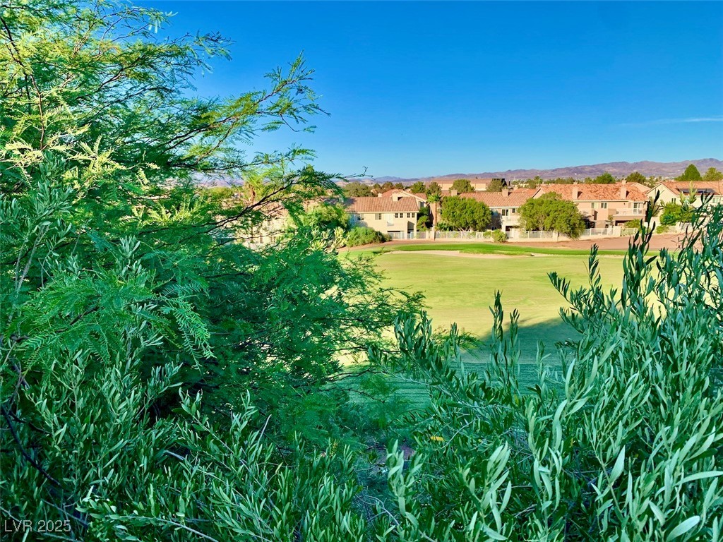 1915 Hazeltine Court Property Photo 28