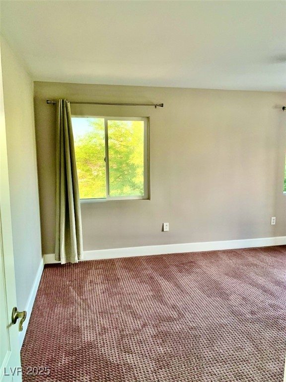 1915 Hazeltine Court Property Photo 34