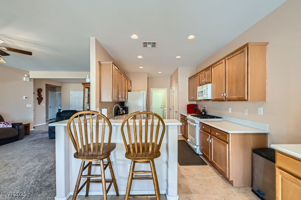 7461 Crested Quail Street Property Photo 12