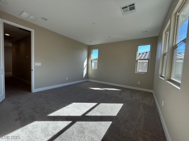 2215 Fish Hawk Street Property Photo 15