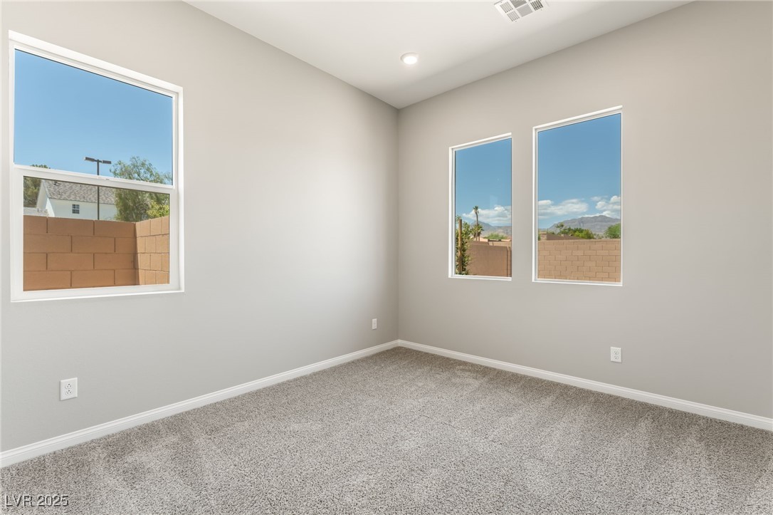 6312 Zephyr Peak Court Property Photo 27