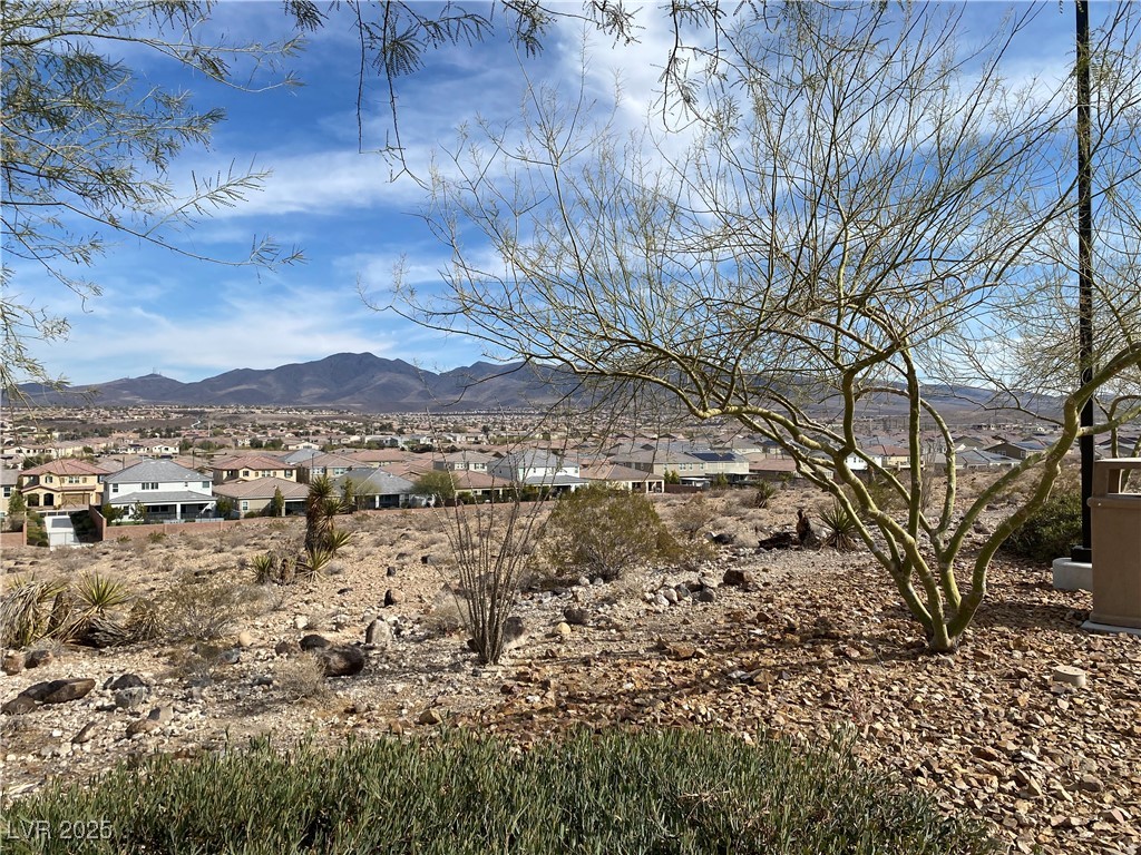 3192 Bormida Avenue Property Photo 49