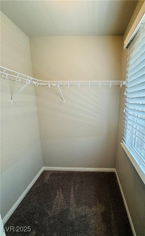 9876 Parador Cellars Court Property Photo 38