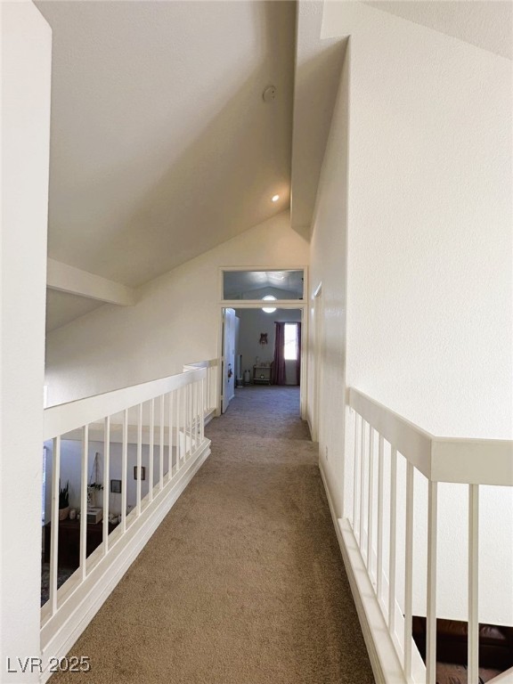 2412 Twin Flower Circle Property Photo 10