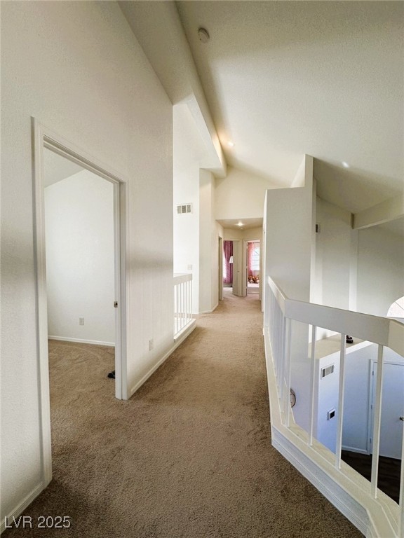 2412 Twin Flower Circle Property Photo 11