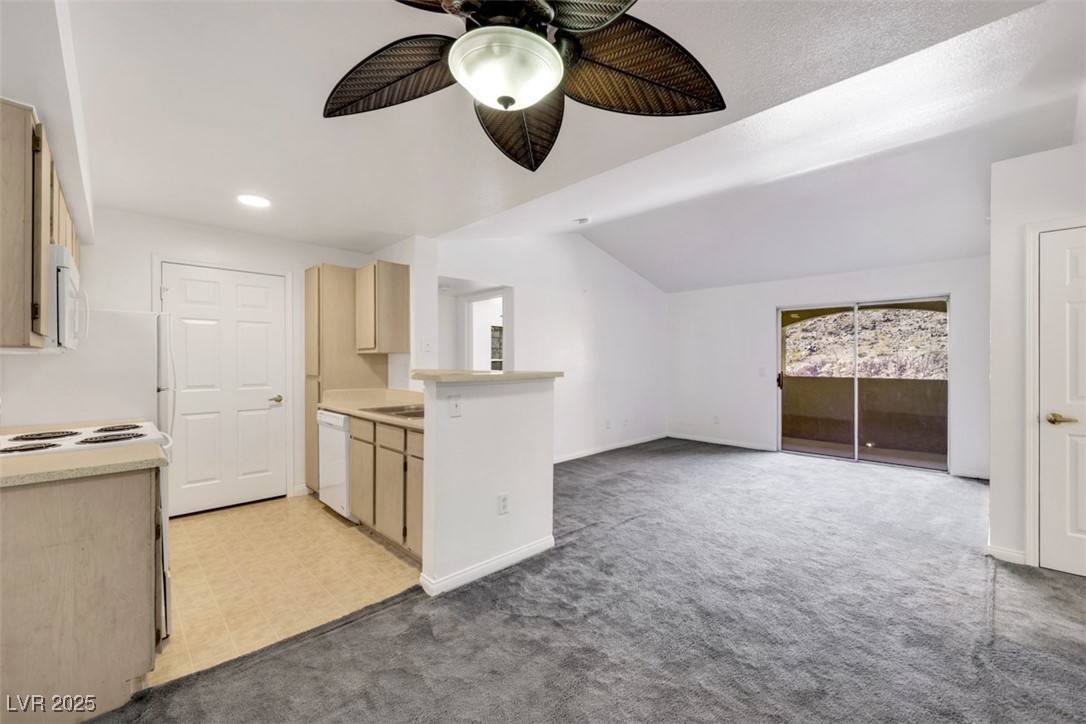 231 West Horizon Ridge Parkway 527 Property Photo 8