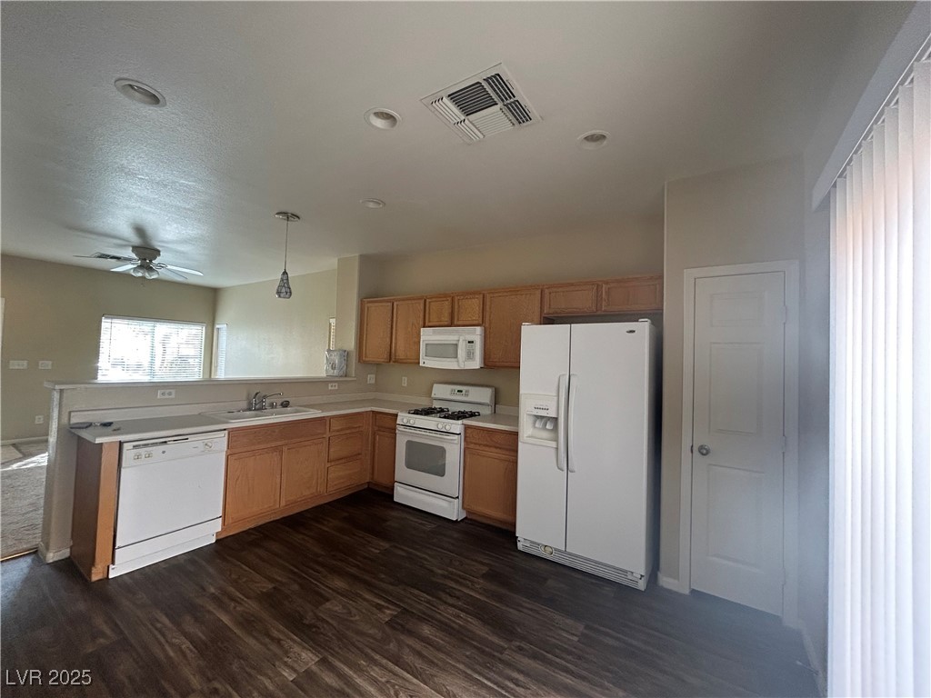 11145 Abbeyfield Rose Drive Property Photo 4