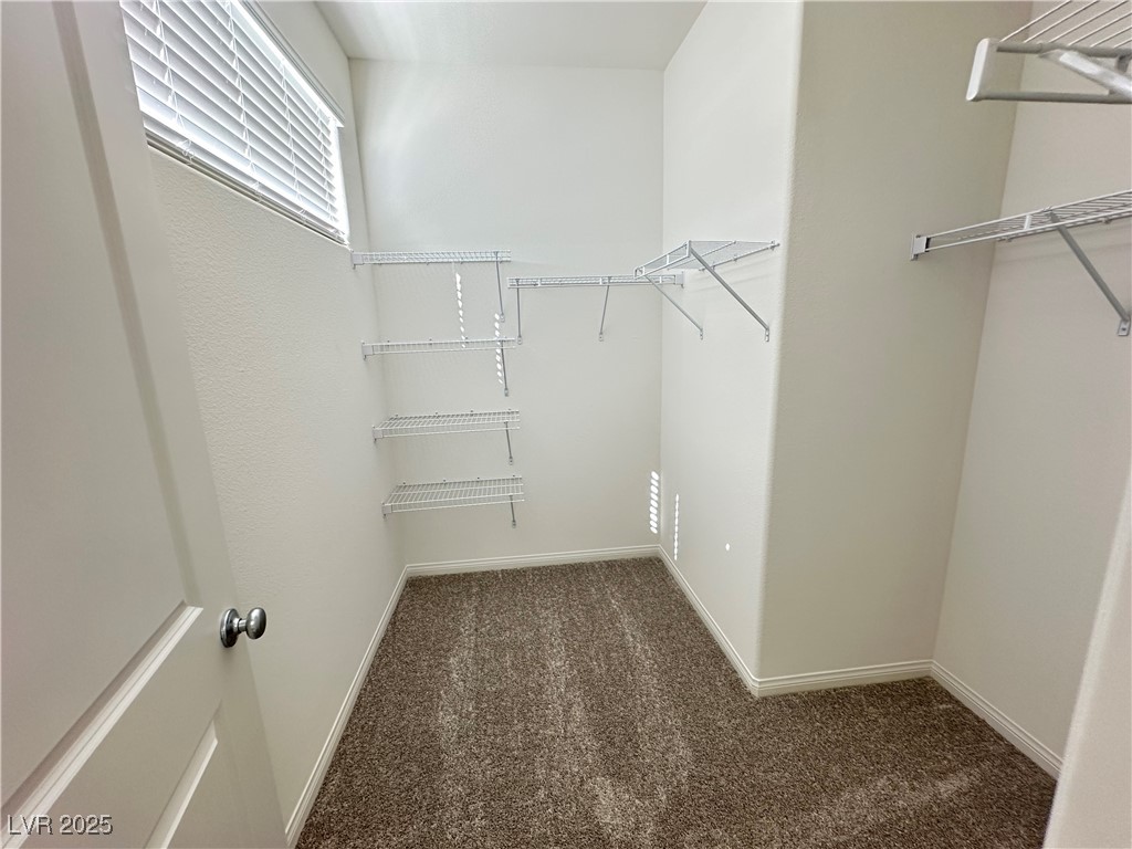 11697 Stone Curlew Avenue Property Photo 23