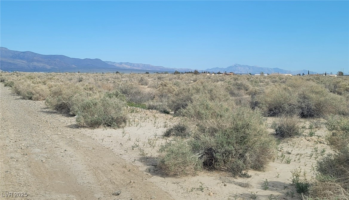 1821 Deputy Street Property Photo 2