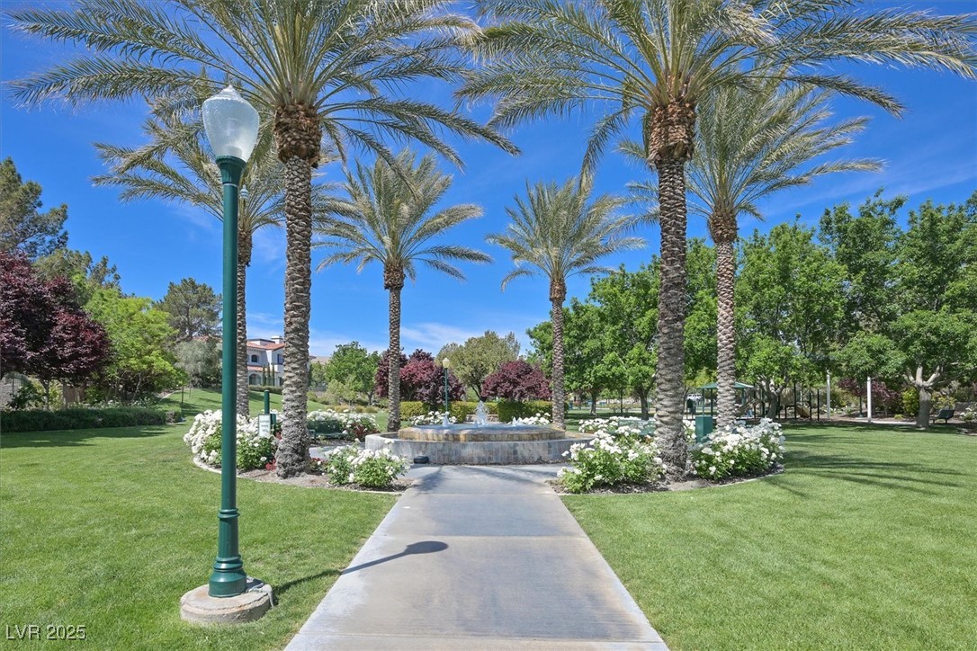 34 Vintage Canyon Street Property Photo 89