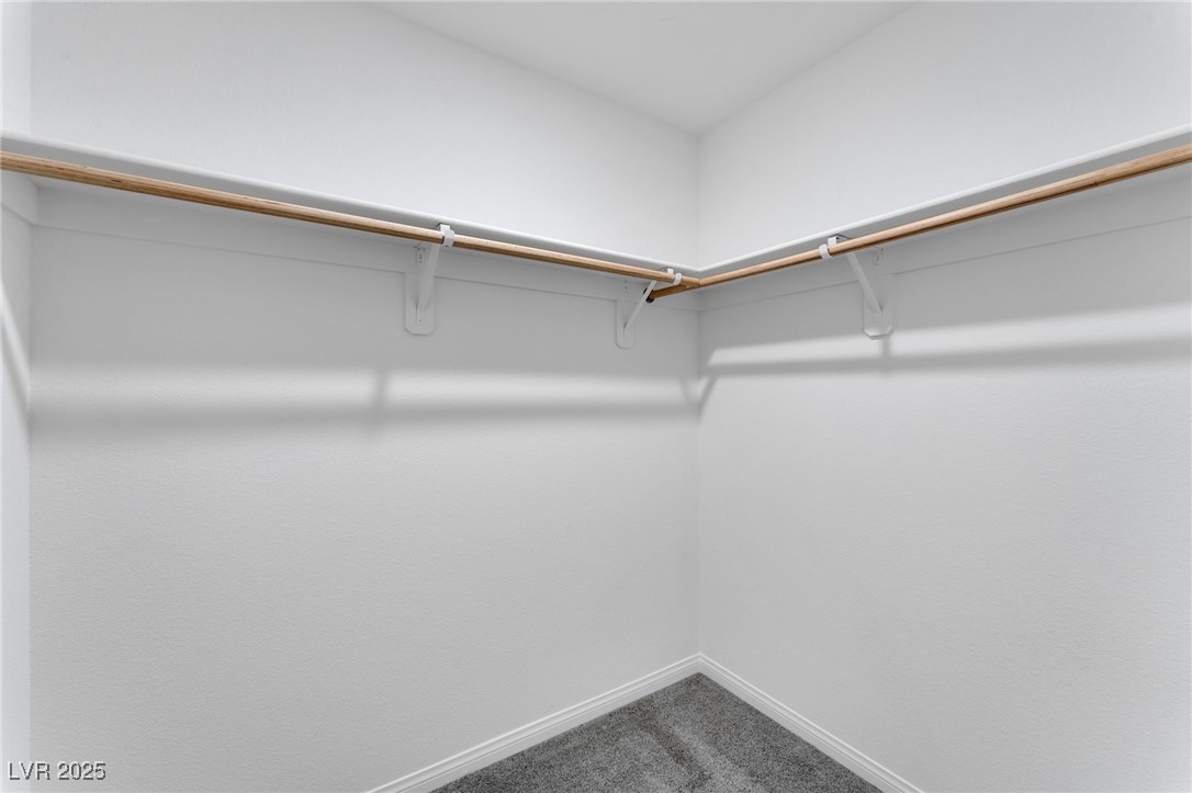 12305 Crimson Horizon Road 4 Property Photo 14