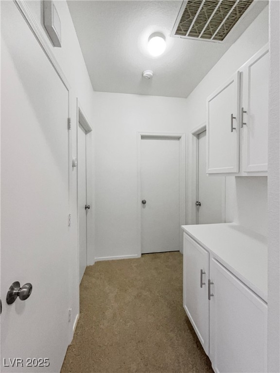 6701 Squaw Mountain Drive 201 Property Photo 23